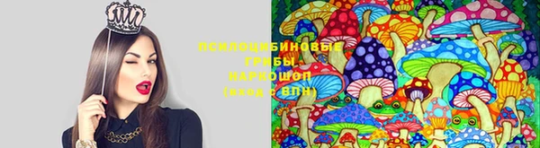 марки lsd Елабуга
